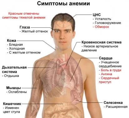Какво проверка, за да премине, когато през цялото време merznesh