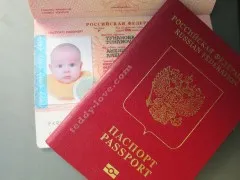 Как да си направим едно дете водач паспорт - Татяна Bedareva