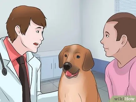 Как да се отбие на вашето куче да хапе другите хора