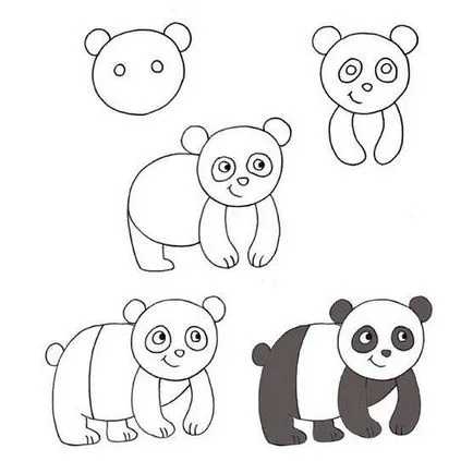 Hogyan kell felhívni a panda egyszerű fogantyú segítségével fénykép (diagram) Hogyan kell felhívni a panda egy egyszerű tollról fotó