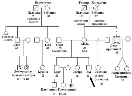 Как да си направим родословно дърво - cemya и брак