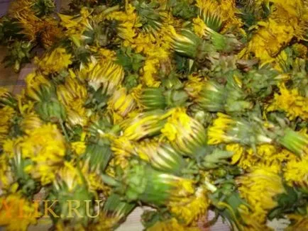 Как да се подготви тинктура от глухарче за ставите, както и