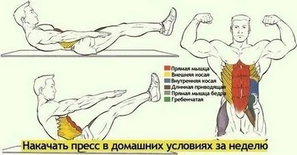 Как да изпомпва пресата у дома снимки