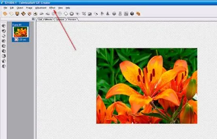 Как да си направим анимация с помощта eximioussoft_gif_creator програма (programmyeximioussoft_gif_creator) Как да си направим анимация с помощта eximioussoft_gif_creator програма