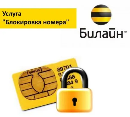 Как да се блокира мегафона на СИМ-карта - модерна училище