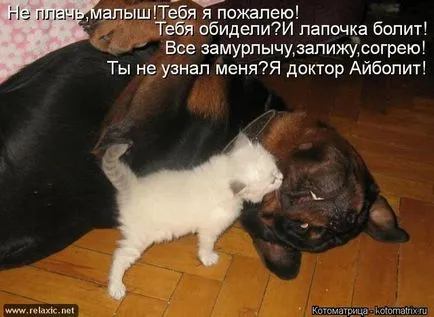 Как да ви накара да съжалявам