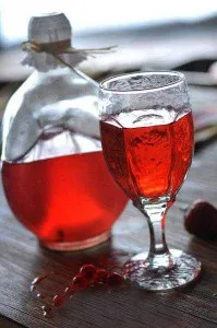 Как да направите настойка от водка, лятна бизнес (работи) Как да направите настойка от водка, случай страната