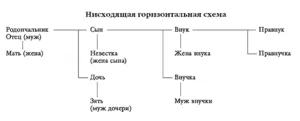 Как да си направим родословно дърво, четене технология