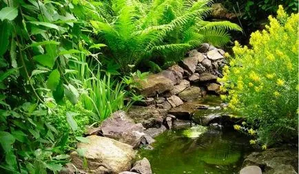 Как да украсят Крофт с ръце снимка, cottagers
