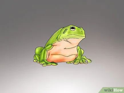 Как да се грижим за жаби