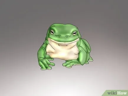 Как да се грижим за жаби