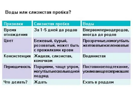 Какво е лигавицата тапа при бременни жени преди раждането (корк) Какво е лигавицата тапа при бременни жени преди раждането