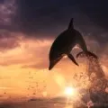 Защо мечтата на морето, мечтата тълкуване мечтая море