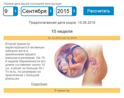 Бременност Калкулатор - точно изчисление на дни и седмици, бременност календар Бременност Калкулатор - точно изчисление на дни и седмици, бременност календар