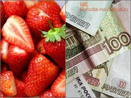 Strawberry като бизнес
