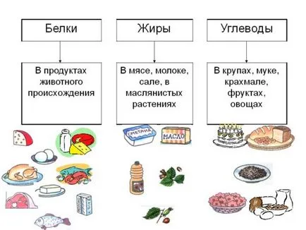 Hogyan normalizálja az emésztést könnyen és egyszerűen
