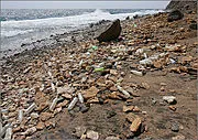 червено море