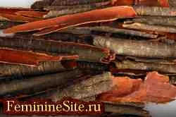 Зърнастец кора приложение