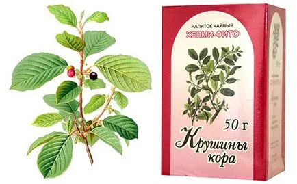 Зърнастец кора полезни свойства и противопоказания (зърнастец olhovidnaya)
