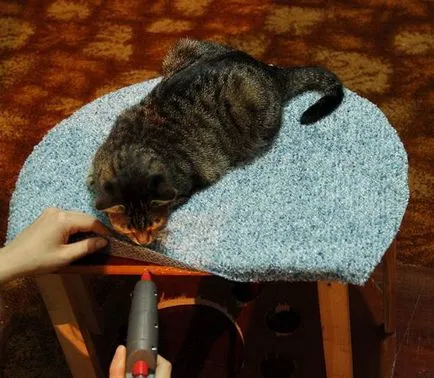 къща Котешко със своите собствени ръце, да споделят съвети