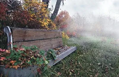 Пейзаж крайградски район в примерите за фото (озеленяване снимки) Ландшафтен дизайн крайградски район в примерите за снимка