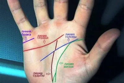 Любовта линия на описанието на ръка, снимки