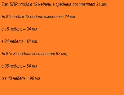 Фронтално-тилната плода маса размер, размер на плодове