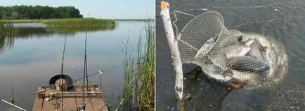 Залавя голям шаран на плувка прът на хранилката