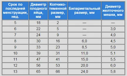 Фронтално-тилната плода маса размер, размер на плодове