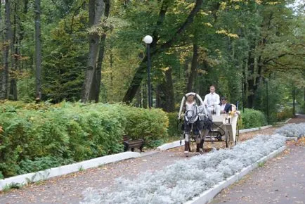 Коне за сватба, конен клуб 