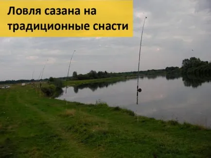 Улов шаран на фидер въдица за стръв шаран (шаран) Улов шаран на фидер въдица за шаран стръв