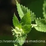 Мускулна болка причини и лечение на болки в мускулите на народната медицина, традиционната медицина