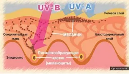 Меланинът, което е - продукти увеличават производството на меланин, помощ и съвети
