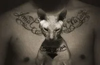 Мъжете скърцат, момичета страдат 