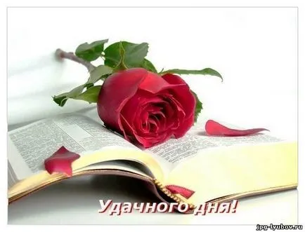 Музика речник - ария, ариозо, Arietta, каватина