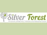 Нева маскарадните (Нева маскарад) - котенца в детски ясли - рок и цени, детски ясли и животновъди