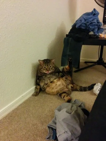 Не се опитвайте твърде трудно