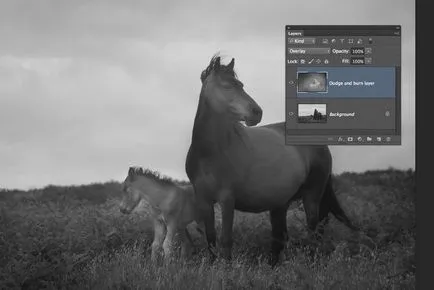 Няколко прости начини за подобряване на острота в Photoshop - покажи въпроси и отговори (повече) А няколко прости начини за подобряване на острота в Photoshop - покажи въпроси и отговори