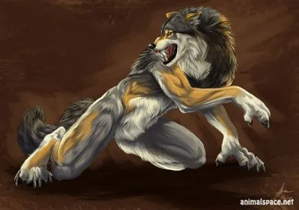 Върколаците - новини за животни, редки животни и митични животни