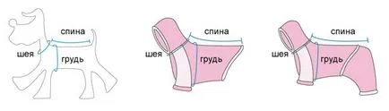 Hogyan méretének meghatározására cipő kutyáknak, kutya cipoméretek asztal (kutya) Hogyan méretének meghatározására cipő kutyáknak, kutya cipoméretek asztal