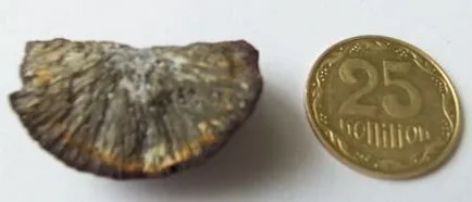Hogyan lehet azonosítani egy meteorit