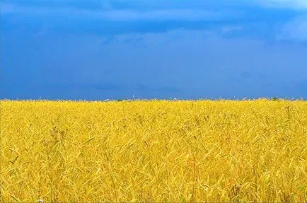 Hogyan állapítható meg, a minősége a csempe, hogy másodosztályú (csempe) Hogyan állapítható meg, a minősége a csempe, hogy a második fokozat