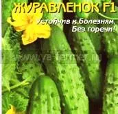 сортове краставици zhuravlonok