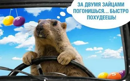 Значително инхибира фейсбук защо инхибира опера, всичко за дамите