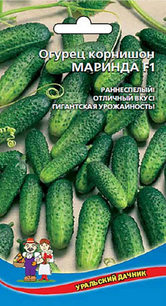 Краставица zhuravlenok коментари описание снимка засаждане