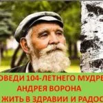 За стволови клетки