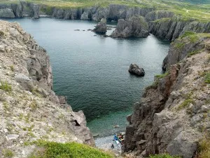 Описание на вида и характера на водолаза