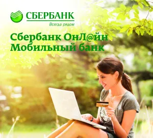 Плащането на данъци през интернет за предприемачи и юридически лица