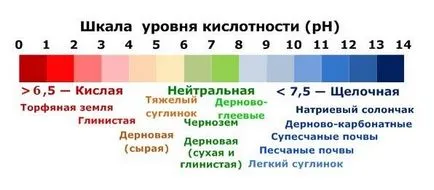Определяне на киселинността на почвата (киселинност Definition ум) Определяне на киселинността на почвата