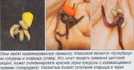 Функции за улов на лин